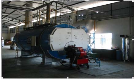Một số thông tin hữu ích về lò hơi đốt gas.
