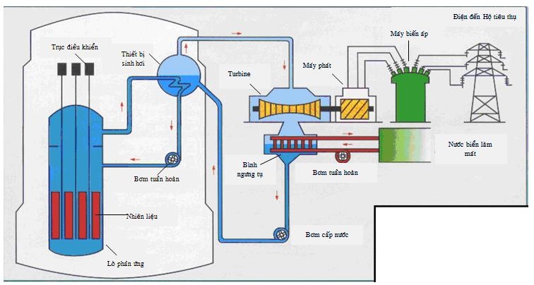Nguyên lí hoạt động của lò hơi