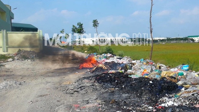 Làng vải Ninh Hiệp: Quanh năm ngửi mùi vải cháy